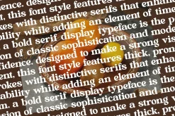 Bright Rustic Bold Serif Font