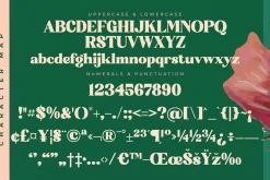 Bright Sunlist Modern Vintage Serif