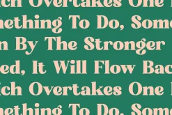 Bright Sunlist Modern Vintage Serif