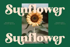 Bright Sunlist Modern Vintage Serif