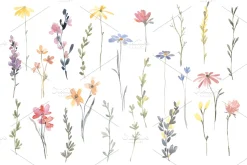 Bright Watercolor Meadow Wildflowers