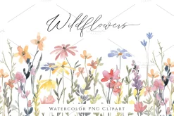 Bright Watercolor Meadow Wildflowers