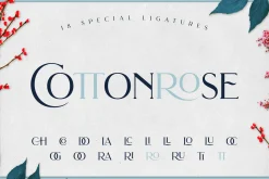 Brilon Font + Extras