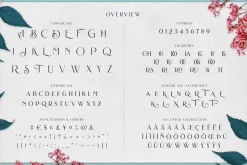 Brilon Font + Extras