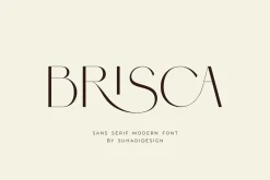 Brisca - Sans Serif Modern Font