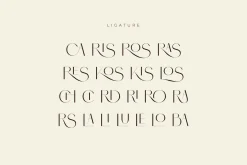 Brisca - Sans Serif Modern Font