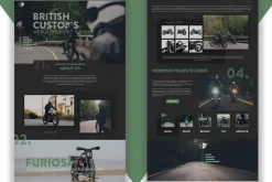 British Customs Landing page (PSD)