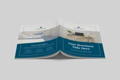 Brochure | Canva, MS Word, InDesign