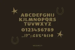 Bronco Serif | A Hand Lettered Serif