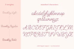 Brookley - Monoline Script Font