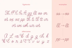 Brookley - Monoline Script Font