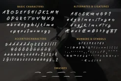Brothership - Freestyle Brush Font