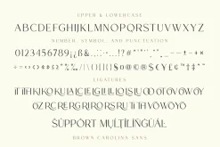 Brown Carolina - A Modern Font Duo