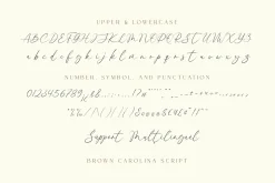 Brown Carolina - A Modern Font Duo