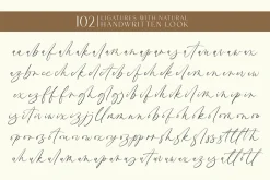 Brown Carolina - A Modern Font Duo