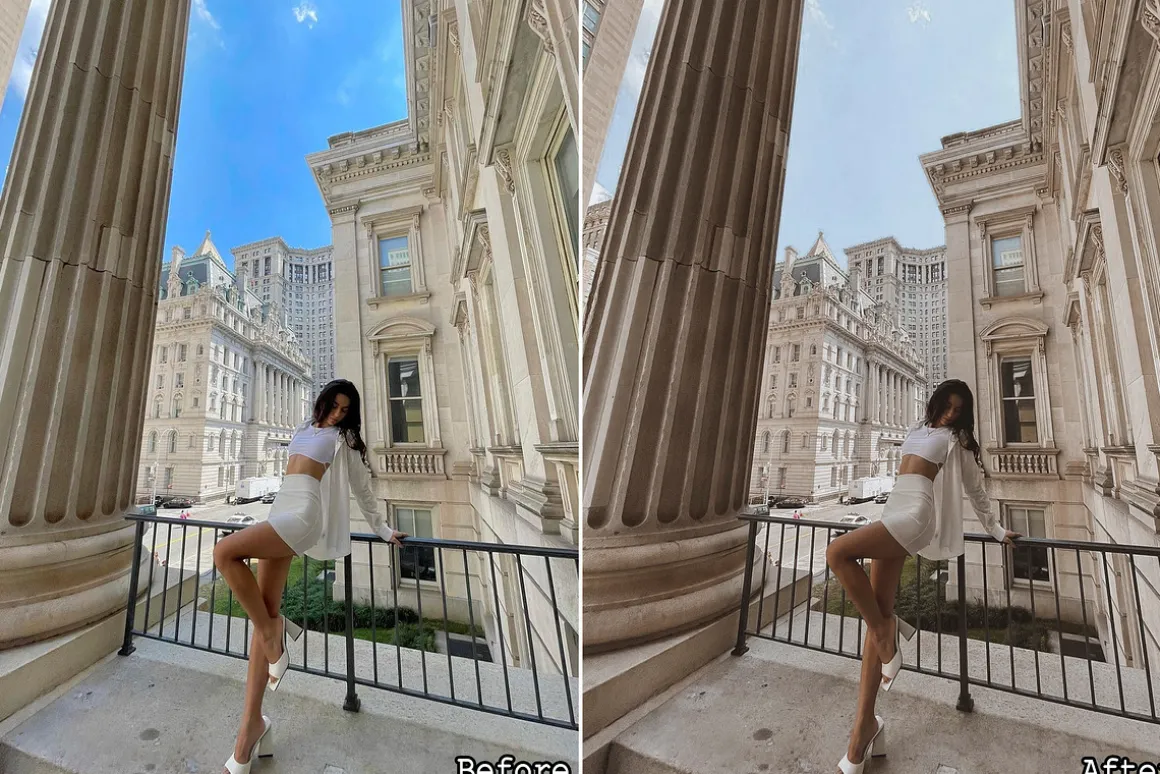 12 Brown Tone Lightroom presets