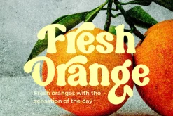 Bulgia Elegant Retro Serif Font