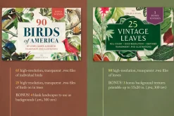 BUNDLE: 375 Vintage Clipart 6-in-1