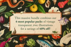 BUNDLE: 375 Vintage Clipart 6-in-1