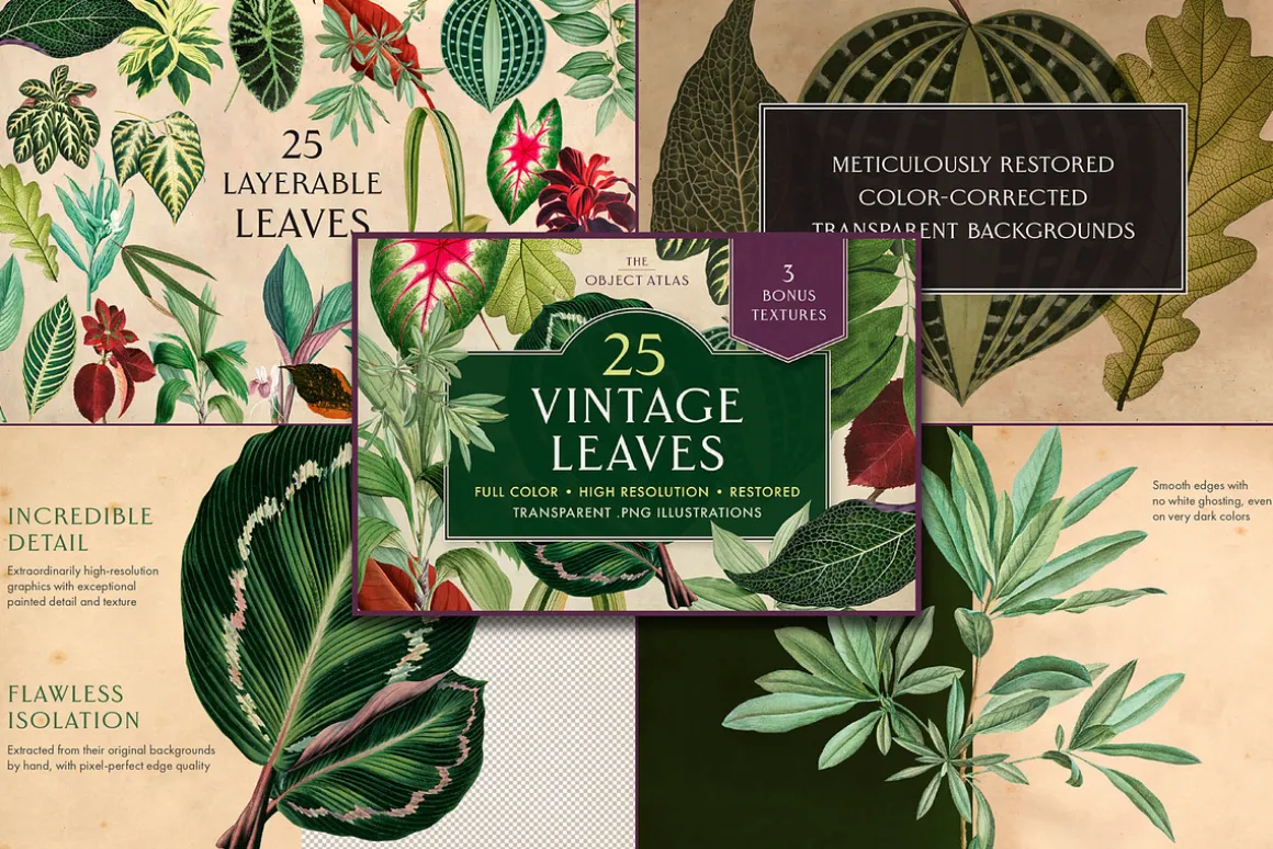 BUNDLE: 375 Vintage Clipart 6-in-1