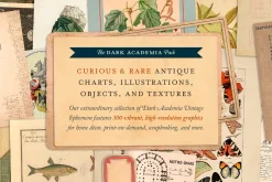 BUNDLE: 600 Academia Ephemera