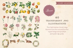 BUNDLE: 600 Academia Ephemera