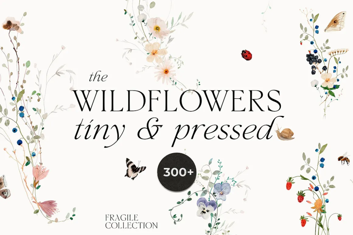 BUNDLE 18,000 graphics — 100 in 1