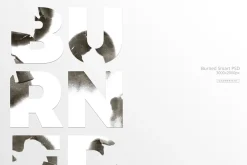 Burned Smart PSD Vol. 1
