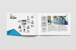 Business Company Brochure