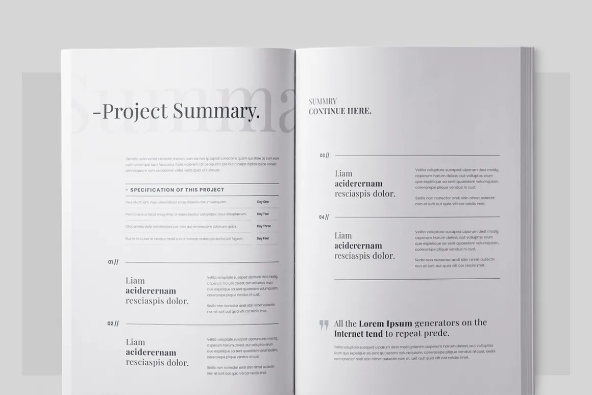 Business Investment Proposal, Canva