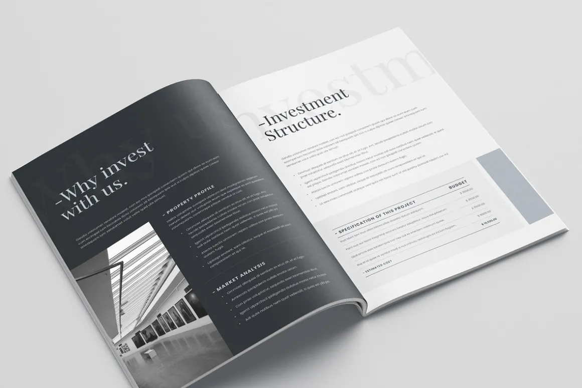 Business Investment Proposal, Canva
