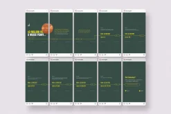 Business & Marketing Insta Carousels