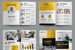 Business Plan Brochure