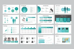 Business Strategy Presentation