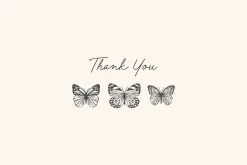 Butterfly Vector Illustrations