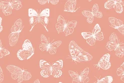 Butterfly Vector Illustrations