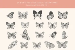 Butterfly Vector Illustrations
