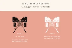 Butterfly Vector Illustrations