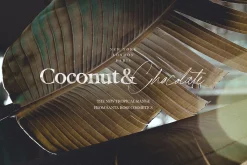 California Palms Fonts & Graphics