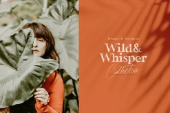 California Palms Fonts & Graphics