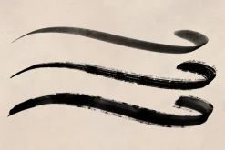Calligraphy Brush Set