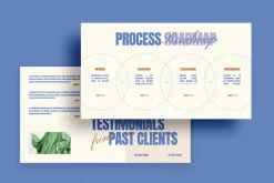 CALMER Wellness Presentation CANVA
