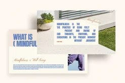 CALMER Wellness Presentation CANVA