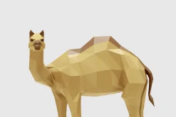 Camel
