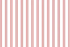 Candy Cane Pin Stripe