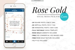 CANVA & PPT | Rose Gold Social Media