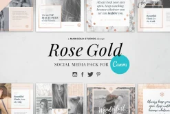 CANVA & PPT | Rose Gold Social Media