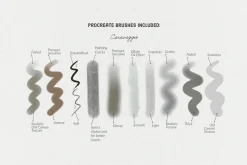 Caravaggio's Art Procreate Brushes