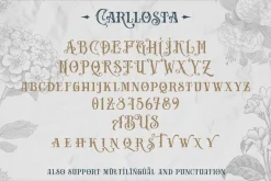 Carllosta - Layered Font (+EXTRAS)