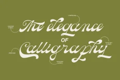 Carmeyla - Bold Script Display Font